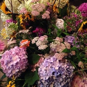 Meet your Posher, Mickenzie